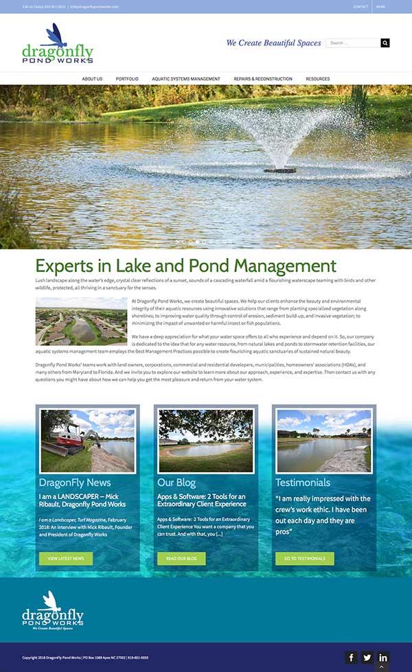 DragonFly Pond Works homepage design by Blass Web Services